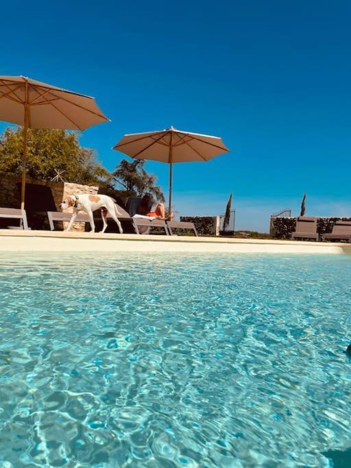 Dome Insolite Lichen Jacuzzi Et Petits-Dejeuners Inclus Gondrin Ngoại thất bức ảnh